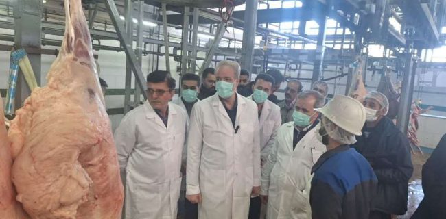 توافق بر خرید حمایتی ۱۰ هزار راس دام سنگین در کشور