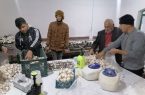 تولید بیش از ۲۰۰ کیلوگرم قارچ دکمه‌ای توسط دانش‌آموزان استثنایی آق‌قلا