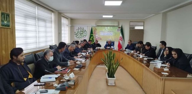 تحقق حدود ۶۳ درصدی سطوح برنامه ابلاغی طرح جهش تولید در دیم زارهای آذربایجان غربی