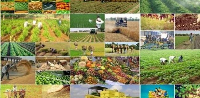 اختصاص ۵۰ هزار میلیارد تومان به طرح‌های کشاورزی در قالب اوراق گواهی سپرده سرمایه‌گذاری خاص